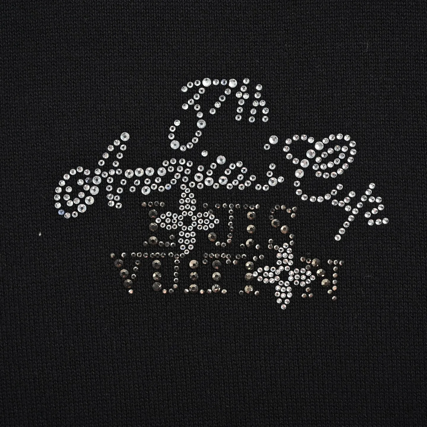 Louis Vuitton/
